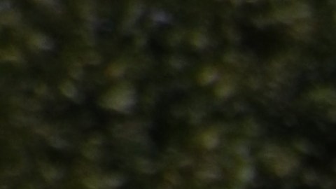 La marcha del ‘Ejército de los pobres’ comenzó en Humboldt Park y avanzó hasta las cercanías del United Center, sede de la Convención Nacional Demócrata 2024 en Chicago. (Antonio Zavala / La Raza)