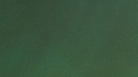 La histórica líder campesina Dolores Huerta.