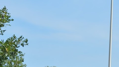 Trabajadores de la empresa Julian Electric Inc., apoyados por activistas, quieren afiliarse al sindicato United Autoworkers Union. (Cortesía Shelly Ruzicka / Arise Chicago)