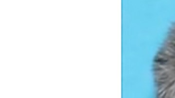 Cristóbal Puente fue reportado desaparecido en Chicago. (Chicago Police Department)