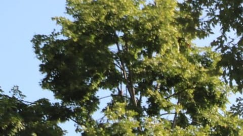 Una patrulla de la Policía de Joliet, Illinois, frente a una escuela del Distrito Escolar 86 de Joliet. (Facebook Joliet Public School District 86)