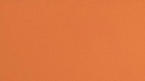 20240917 saludo manos pexels-cytonn-955388