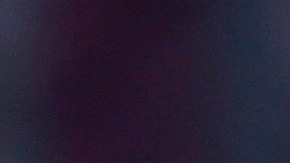 Oficiales de la Policía de Chicago.