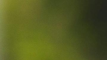 Ser dueño de vivienda es posible y existen profesionales, entidades y programas que dan ayuda para lograrlo. (Pexels/RDNE)