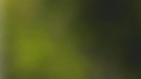 Ser dueño de vivienda es posible y existen profesionales, entidades y programas que dan ayuda para lograrlo. (Pexels/RDNE)