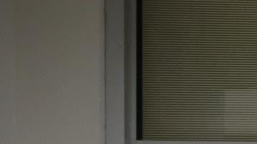 Integrantes del Ballet Folklórico Mitotiani con el vestuario de bailes regionales de Michoacán, México. (Cortesía Ballet Folklórico Mitotiani)