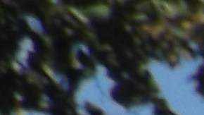 Carlos Arango portó una bandera mexicana durante la conmemoración en Pilsen de la masacre de estudiantes del 2 de octubre de 1968 en Tlatelolco, Ciudad de México. (Antonio Zavala / La Raza)