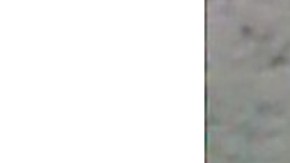 Harim Montemayor fue reportado desaparecido en Chicago. (Chicago Police Department)