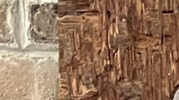 Joel Méndez, Maya Piña y Carlos Cumpián, figuras literarias de Chicago. (Cortesía)