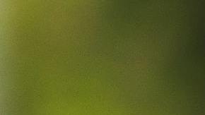 Homeownership is possible and there are professionals, entities and programs to help you achieve it. (Pexels/RDNE)