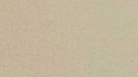 Lizette Carretero, directora de bienestar financiero de Proyecto Resurrección, en entrenamiento con su equipo. (Cortesía Proyecto Resurrección)