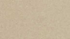 Lizette Carretero, director of financial well-being at The Resurrection Project, during a training session with her team. (Courtesy of The Resurrection Project)