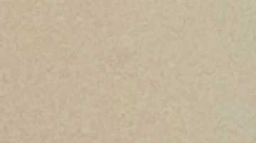 Lizette Carretero, director of financial well-being at The Resurrection Project, during a training session with her team. (Courtesy of The Resurrection Project)