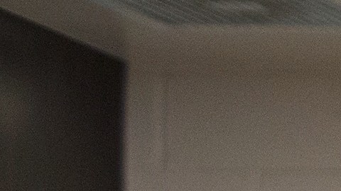 Un agente de la Patrulla Fronteriza comienza el proceso de entrevistar y procesar a un numeroso grupo de presuntos inmigrantes indocumentados, entre ellos niños. (Foto US Border Patrol / Hector Silva)