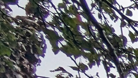 Joven latino busca hogares en venta al suroeste de la ciudad. (Irene Tostado / La Raza)