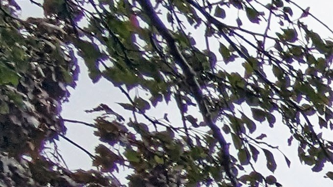 Joven latino busca hogares en venta al suroeste de la ciudad. (Irene Tostado / La Raza)