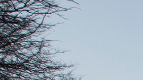 La Universidad de Chicago es una de las más importantes de Estados Unidos (Cortesía Universidad de Chicago / Richard Goodwin)