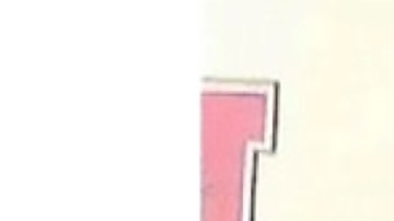 Yamilet Peña-Melíndez fue reportada desaparecida en Chicago. (Chicago Police Department)