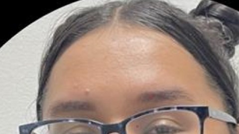 Alejandra Arrieta, de 31 años, y Norely Navarrete, de 14 años, fueron reportadas desaparecidas en Chicago. (Chicago Police Department)