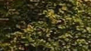 Juan M. Soliz, abogado y pionero de la representación política hispana en Chicago. (Cortesía)