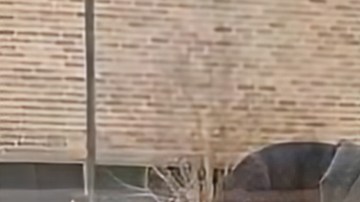 El abogado Juan M. Soliz en plena acción en defensa de sus clientes de la comunidad.  (Cortesía Frances Meléndez)