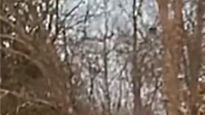 Valentina Gómez. (X/ValentinaForUSA)