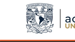 El sitio web accionmigrante.unam.mx de la UNAM, ofrece información y asistencia a migrantes en México y en EEUU. (Captura accionmigrante.unam.mx)