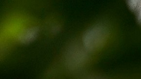 Un edificio del Servicio de Rentas Internas (IRS), encargado de recaudar los impuestos federales en Estados Unidos.