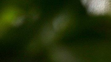 Un edificio del Servicio de Rentas Internas (IRS), encargado de recaudar los impuestos federales en Estados Unidos.