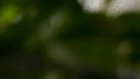 Un edificio del Servicio de Rentas Internas (IRS), encargado de recaudar los impuestos federales en Estados Unidos.