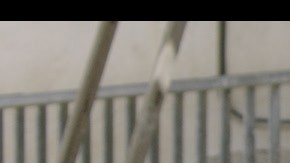Una escena de la película "La tierra negra (“The Black Land") de Alberto Morais. (Cortesía CLFF/ILCC)