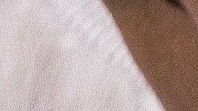 Venezolanos en EEUU dieron una conferencia de prensa en relación con la cancelación del TPS para Venezuela.