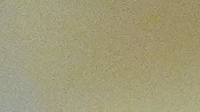 Donald Trump se ha confrontado con ciudades y estados gobernados por demócratas que tienen leyes santuario que protegen a las comunidades inmigrantes.