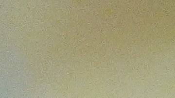 Donald Trump se ha confrontado con ciudades y estados gobernados por demócratas que tienen leyes santuario que protegen a las comunidades inmigrantes.