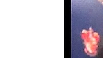 Clarissa Guzmán fue reportada desaparecida en Chicago. (Chicago Police Department)