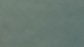 El artista Carlos Barberena, de origen nicaragüense afincado en Chicago. (Cortesía Carlos Barberena)