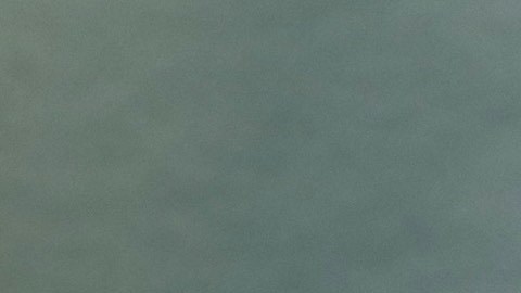 El artista Carlos Barberena, de origen nicaragüense afincado en Chicago. (Cortesía Carlos Barberena)