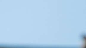 Centro de Trabajadores Unidos e Immigrant Solidarity DuPage y el grupo de abogados Public Citizen Litigation Group, Alan Morrison y Raise the Floor Alliance exigen que el IRS no revele información de contribuyentes para fines de redadas y deportaciones. (Cortesía Ray S. Rivera / Raise the Floor Alliance)