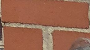 Activistas de El Pueblo Manda protestan contra la gentrificación y el alza de impuestos a la propiedad. (Antonio Zavala / La Raza)