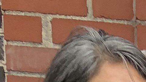 Activistas de El Pueblo Manda protestan contra la gentrificación y el alza de impuestos a la propiedad. (Antonio Zavala / La Raza)