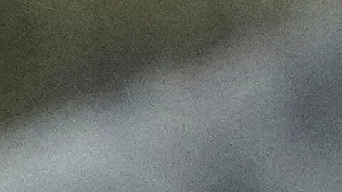 El magnate Elon Musk y el presidente Donald Trump.