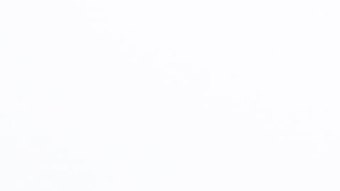 Manifestantes claman "¡Quita las manos!' ('Hands Off!') para protestar contra  protests against Donald Trump y Elon Musk en Washington DC.