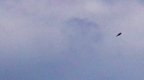 Un bañista se lanza a las aguas del Lago Michigan en el área de Chicago.