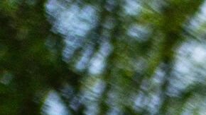 Protesta en Washington contra las deportaciones de migrantes a El Salvador emprendida por el gobierno de Donald Trump utilizando la Ley de Enemigos Extranjeros de 1798.