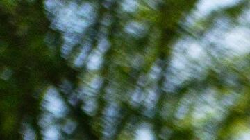 Protesta en Washington contra las deportaciones de migrantes a El Salvador emprendida por el gobierno de Donald Trump utilizando la Ley de Enemigos Extranjeros de 1798.