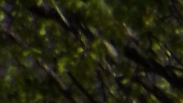 Activistas de la organización El Pueblo Manda muestran afiches que invitan a la marcha del 1 de mayo de 2025 en Chicago. (Antonio Zavala / La Raza)