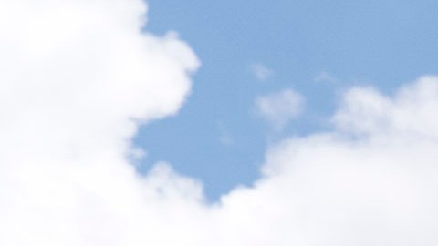 Manifestantes defienden el derecho a la ciudadanía por nacimiento de todos los nacidos en EEUU ante la Corte Suprema.