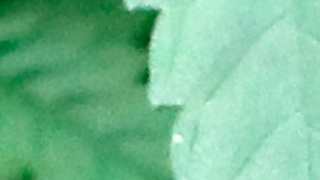 El uso recreativo del cannabis fue legalizado en Illinois en 2020.