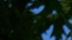 La casa donde el papa León XIV vivió de niño, en Dolton, IL, al sur de Chicago.