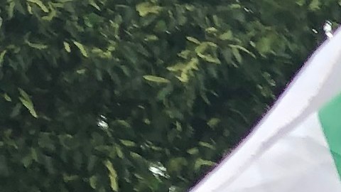 Manifestantes rechazaron en Pilsen el plan de imponer un impuesto del 5% a las remesas. (Antonio Zavala / La Raza)